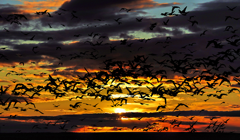 Second Place by Patrick Stone